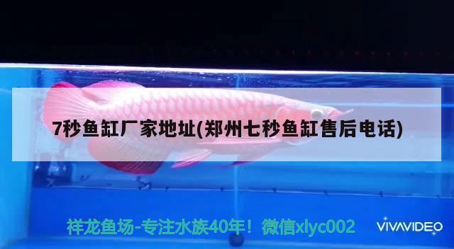 7秒魚缸廠家地址(鄭州七秒魚缸售后電話) 白子紅龍魚