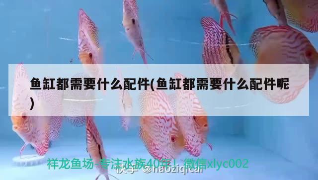 柳州魚缸換氣多少錢一臺(tái)啊價(jià)格：魚缸換氣需要一直開嗎 廣州水族批發(fā)市場(chǎng) 第1張