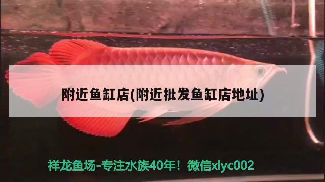 印尼虎魚，壽命有多長？ 虎魚百科 第1張