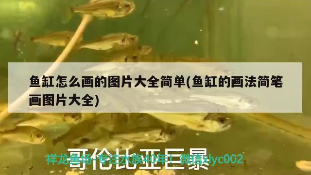 魚缸怎么畫的圖片大全簡單(魚缸的畫法簡筆畫圖片大全)