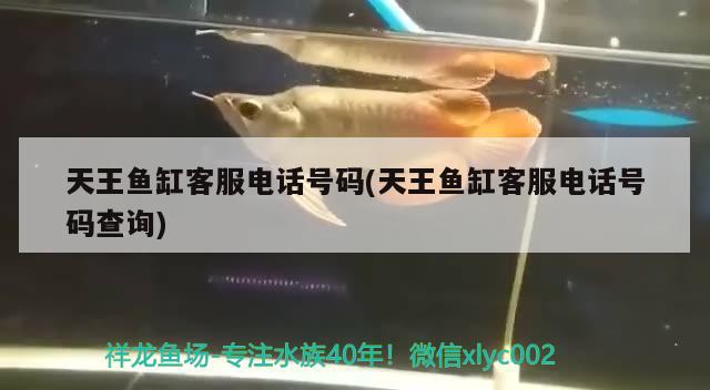 天王魚缸客服電話號碼(天王魚缸客服電話號碼查詢)