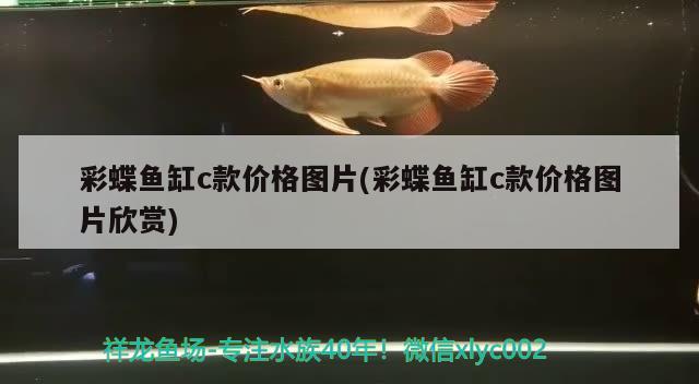 彩蝶魚缸c款價格圖片(彩蝶魚缸c款價格圖片欣賞) 三間鼠魚