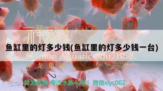 哈爾濱魚缸搬運電話號：哈爾濱魚缸搬運電話號碼