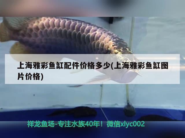 哈爾濱魚缸搬運電話號：哈爾濱魚缸搬運電話號碼