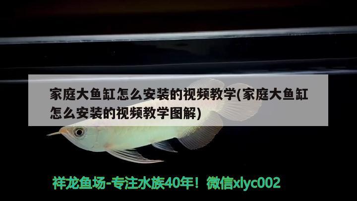 家庭大魚缸怎么安裝的視頻教學(家庭大魚缸怎么安裝的視頻教學圖解) 觀賞魚企業(yè)目錄