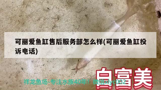 多久換水魚缸合適：多長(zhǎng)時(shí)間換魚缸的水,怎么換