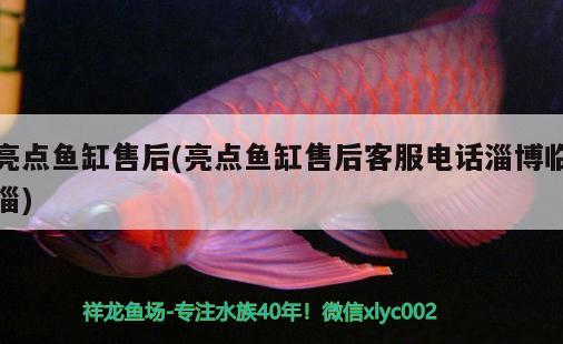 亮點(diǎn)魚缸售后(亮點(diǎn)魚缸售后客服電話淄博臨淄) 海象魚