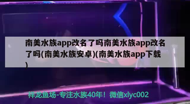 南美水族app改名了嗎南美水族app改名了嗎(南美水族安卓)(南美水族app下載)