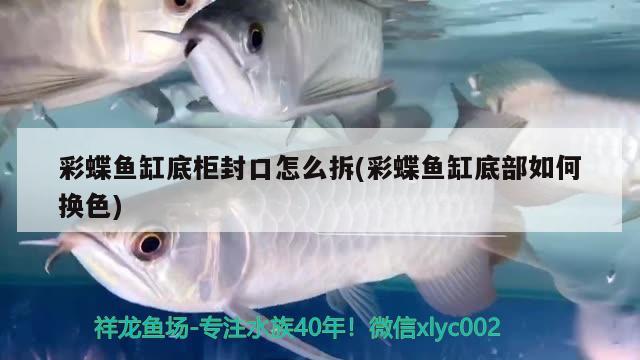 彩蝶魚缸底柜封口怎么拆(彩蝶魚缸底部如何換色)