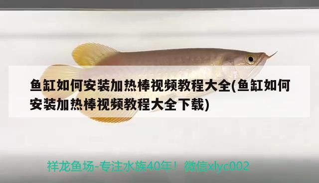 魚缸如何安裝加熱棒視頻教程大全(魚缸如何安裝加熱棒視頻教程大全下載)