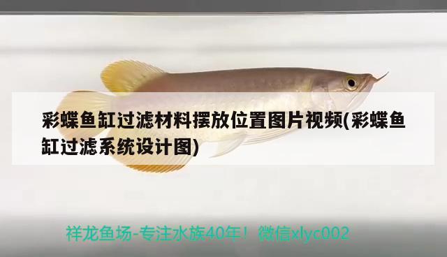 彩蝶魚缸過濾材料擺放位置圖片視頻(彩蝶魚缸過濾系統(tǒng)設計圖)