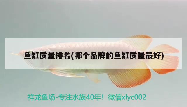 魚缸質量排名(哪個品牌的魚缸質量最好) 小型觀賞魚