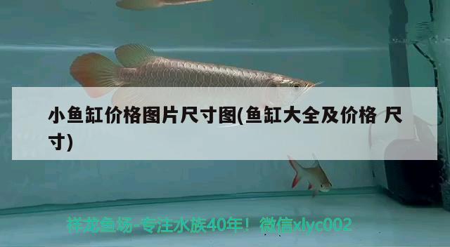 小魚缸價格圖片尺寸圖(魚缸大全及價格尺寸) 白子銀版魚苗