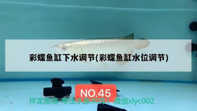 魚缸led燈驅(qū)動電源(魚缸led燈驅(qū)動電源接口壞了怎么辦) 稀有紅龍品種