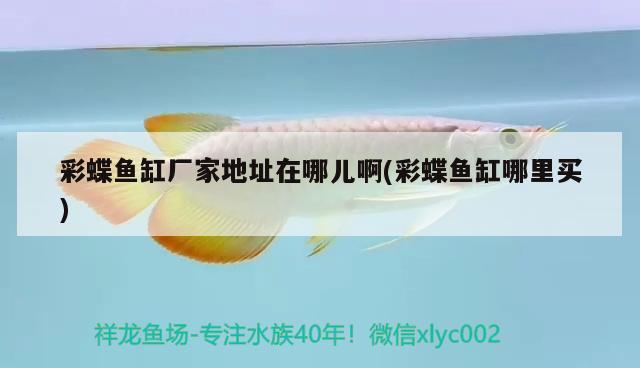 彩蝶魚缸廠家地址在哪兒啊(彩蝶魚缸哪里買) 潛水艇魚