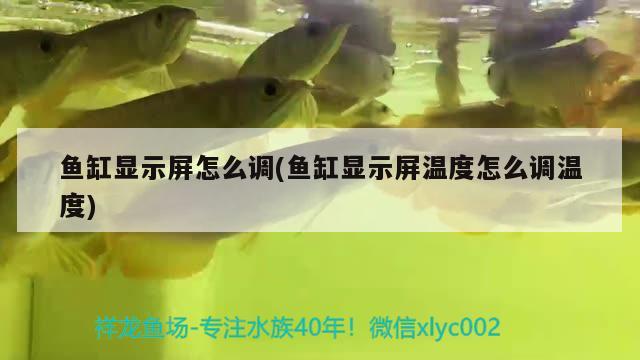 魚缸顯示屏怎么調(diào)(魚缸顯示屏溫度怎么調(diào)溫度)