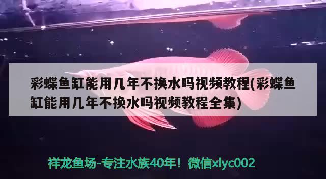 漯河魚缸維護（2020疫情時期你在家做了什么） 肥料 第2張