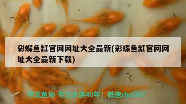 彩蝶魚(yú)缸官網(wǎng)網(wǎng)址大全最新(彩蝶魚(yú)缸官網(wǎng)網(wǎng)址大全最新下載) 羅漢魚(yú)批發(fā)