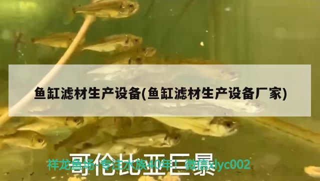 多大魚缸養(yǎng)多大的魚(多大魚缸好) 超血紅龍魚