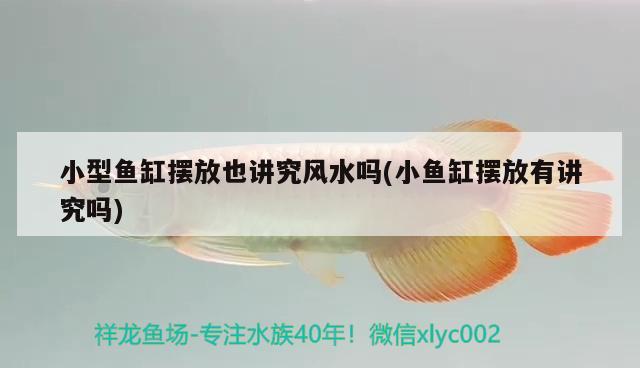 小型魚缸擺放也講究風(fēng)水嗎(小魚缸擺放有講究嗎) 魚缸風(fēng)水