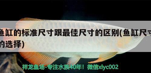 魚缸的標(biāo)準(zhǔn)尺寸跟最佳尺寸的區(qū)別(魚缸尺寸的選擇)