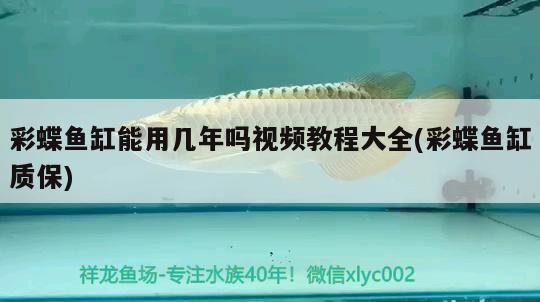 彩蝶魚(yú)缸能用幾年嗎視頻教程大全(彩蝶魚(yú)缸質(zhì)保)