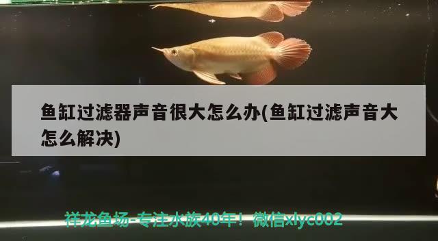 魚缸增氧泵的位置及除便效果詳解魚缸增氧泵的除便效果詳解，詳解魚缸增氧泵的位置及除便效果