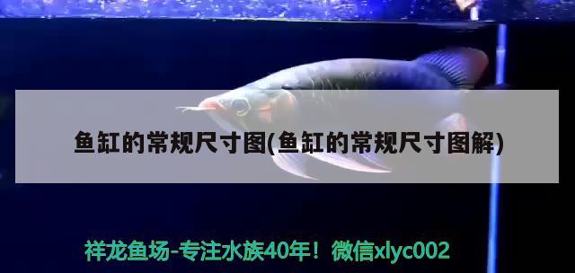 魚缸的常規(guī)尺寸圖(魚缸的常規(guī)尺寸圖解) 魚缸等水族設(shè)備