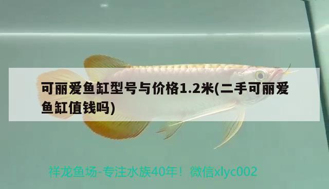 可麗愛魚缸型號與價格1.2米(二手可麗愛魚缸值錢嗎)