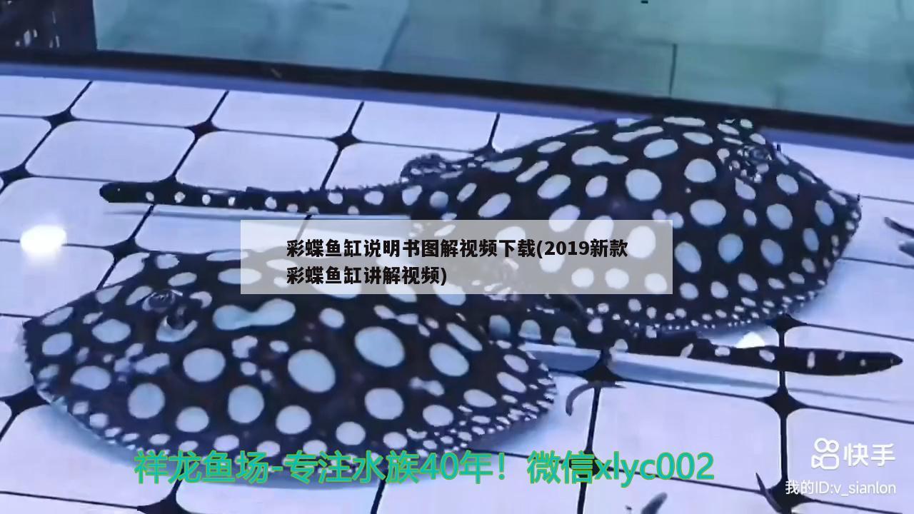 彩蝶魚缸說明書圖解視頻下載(2019新款彩蝶魚缸講解視頻)