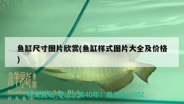 金魚長的快嗎，鯽魚多久可以長大？，金魚長的快嗎，多久可以長大 紅尾平克魚 第2張