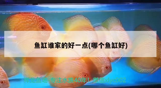 魚缸誰家的好一點(diǎn)(哪個(gè)魚缸好) ?；?異型虎魚/純色虎魚