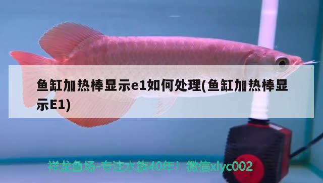 魚缸加熱棒顯示e1如何處理(魚缸加熱棒顯示E1) 黃金夢幻雷龍魚