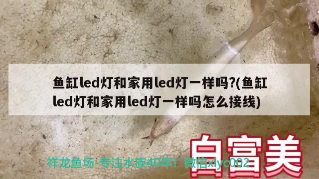 魚缸led燈和家用led燈一樣嗎?(魚缸led燈和家用led燈一樣嗎怎么接線) 過濾設(shè)備 第2張