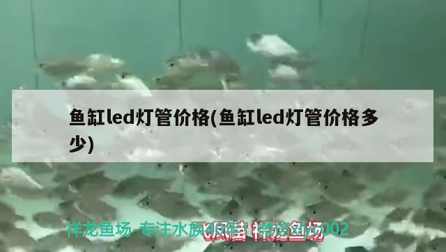 魚缸led燈管價(jià)格(魚缸led燈管價(jià)格多少) 魚缸/水族箱