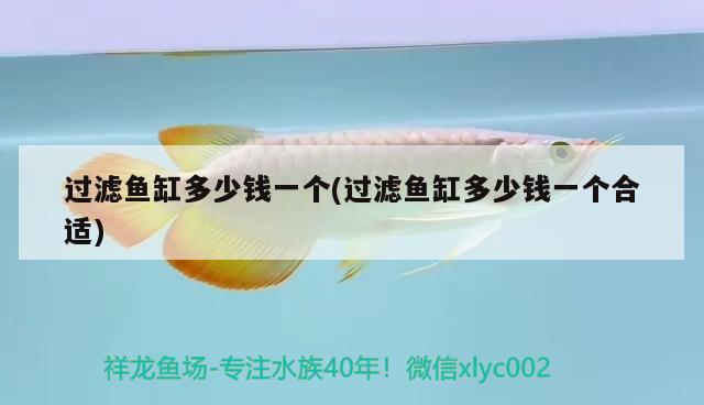 過濾魚缸多少錢一個(gè)(過濾魚缸多少錢一個(gè)合適)