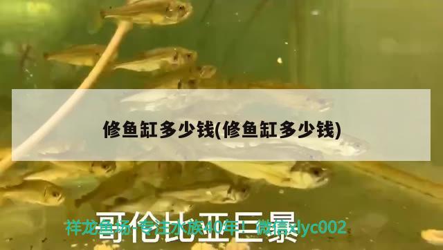 大連金龍魚總代理電話 金龍魚大連分公司 紅龍專用魚糧飼料