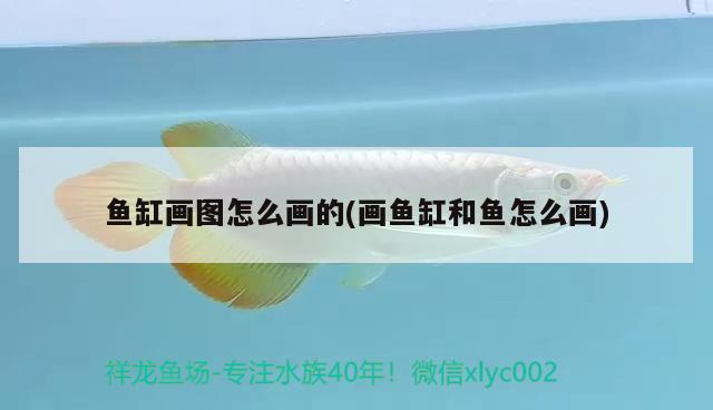 魚缸畫圖怎么畫的(畫魚缸和魚怎么畫)