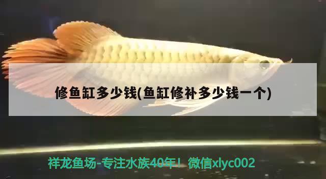 魚缸過濾用不銹鋼紗網(wǎng)可以嗎視頻(不銹鋼魚缸過濾器) 泰國虎魚 第4張