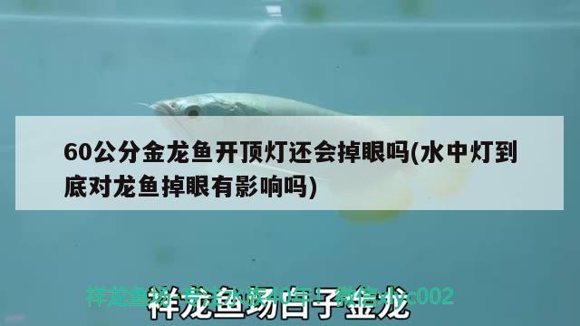 60 45 45魚缸玻璃多厚，魚缸玻璃厚度計(jì)算 養(yǎng)魚的好處 第2張