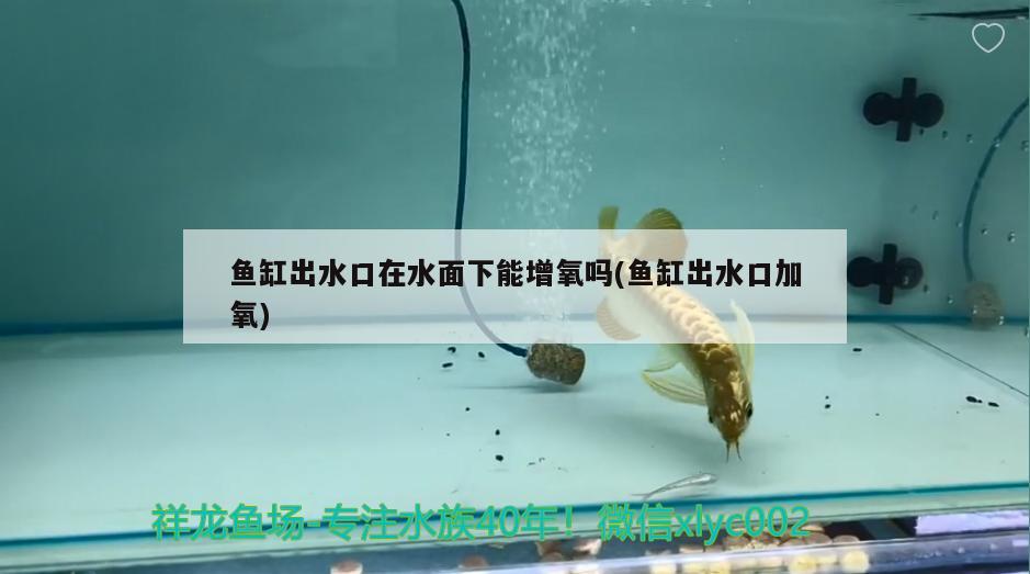 魚(yú)缸出水口在水面下能增氧嗎(魚(yú)缸出水口加氧) 魚(yú)缸等水族設(shè)備