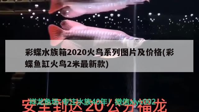 彩蝶水族箱2020火鳥系列圖片及價(jià)格(彩蝶魚缸火鳥2米最新款) 魚缸/水族箱