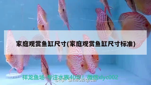 魚缸人工造景圖片大全大圖視頻 魚缸人工造景圖片大全大圖視頻下載