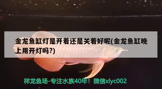 包含魚缸氧氣泵氣量變小怎么修理視頻教程的詞條 充氧泵 第2張