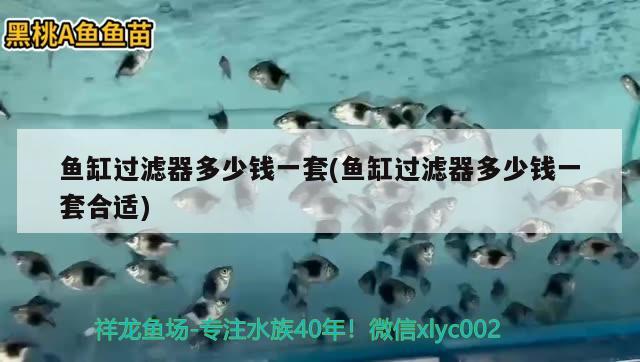 魚缸過濾器多少錢一套(魚缸過濾器多少錢一套合適) 羽毛刀魚苗