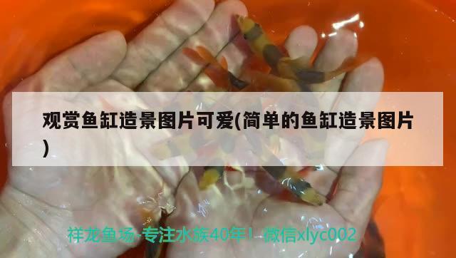 魚缸過濾器材有哪些(魚缸過濾器材都有什么) 細(xì)線銀版魚