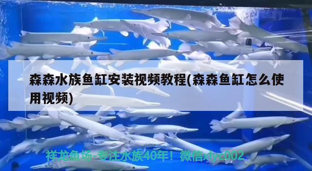 森森水族魚缸安裝視頻教程(森森魚缸怎么使用視頻)