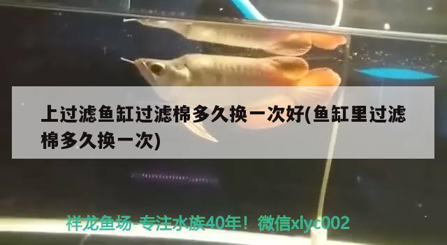 上過濾魚缸過濾棉多久換一次好(魚缸里過濾棉多久換一次) 定時器/自控系統(tǒng)