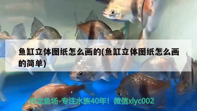 魚缸立體圖紙?jiān)趺串嫷?魚缸立體圖紙?jiān)趺串嫷暮?jiǎn)單)