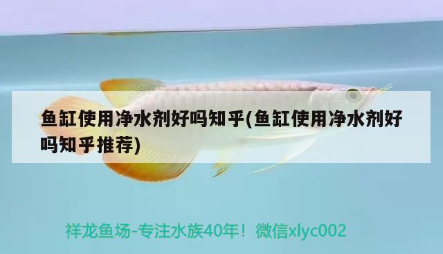 深圳市龍崗區(qū)橫崗魚魚魚缸店 全國水族館企業(yè)名錄 第2張